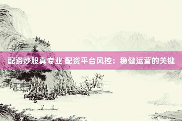 配资炒股真专业 配资平台风控：稳健运营的关键
