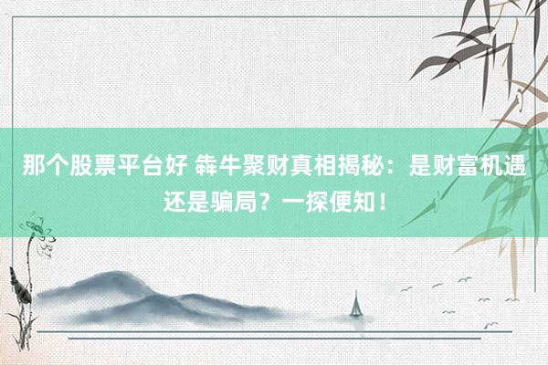 那个股票平台好 犇牛聚财真相揭秘：是财富机遇还是骗局？一探便知！