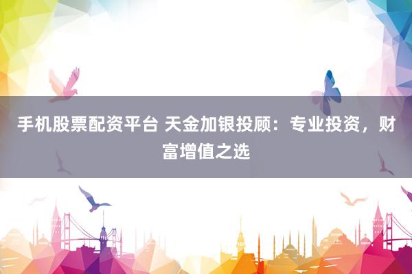 手机股票配资平台 天金加银投顾：专业投资，财富增值之选