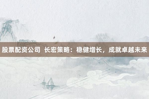 股票配资公司  长宏策略：稳健增长，成就卓越未来