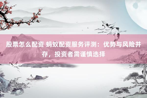 股票怎么配资 蚂蚁配资服务评测:优势与风险并存,投资者需谨慎选择