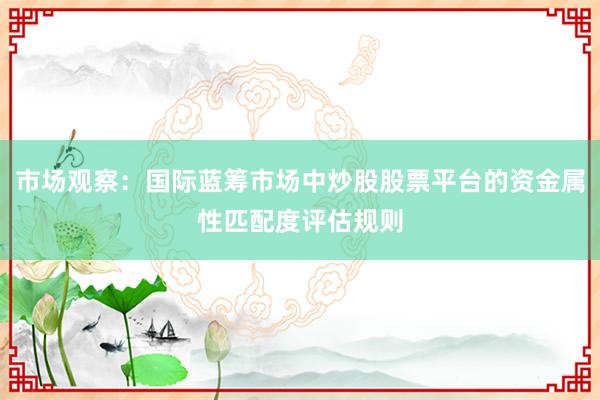 市场观察：国际蓝筹市场中炒股股票平台的资金属性匹配度评估规则