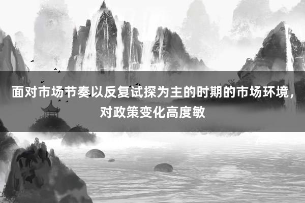 面对市场节奏以反复试探为主的时期的市场环境，对政策变化高度敏