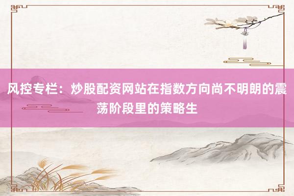 风控专栏：炒股配资网站在指数方向尚不明朗的震荡阶段里的策略生