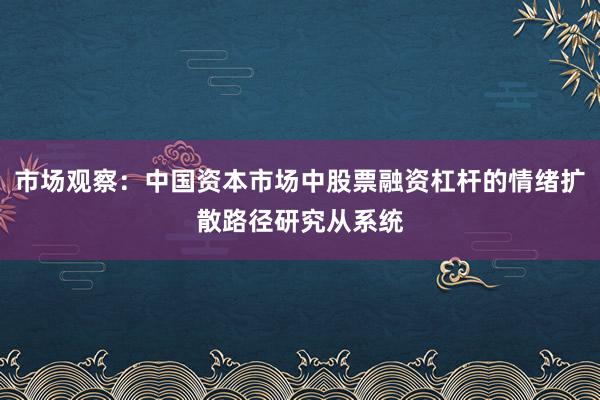 市场观察：中国资本市场中股票融资杠杆的情绪扩散路径研究从系统