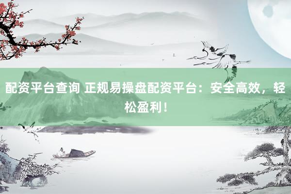 配资平台查询 正规易操盘配资平台：安全高效，轻松盈利！