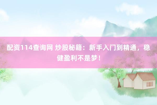 配资114查询网 炒股秘籍：新手入门到精通，稳健盈利不是梦！