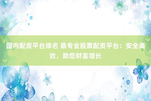 国内配资平台排名 最专业股票配资平台：安全高效，助您财富增长