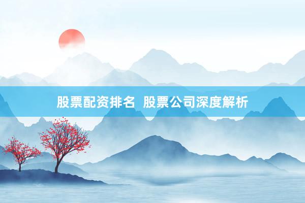 股票配资排名  股票公司深度解析