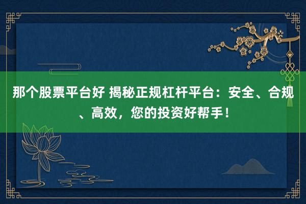 那个股票平台好 揭秘正规杠杆平台：安全、合规、高效，您的投资好帮手！