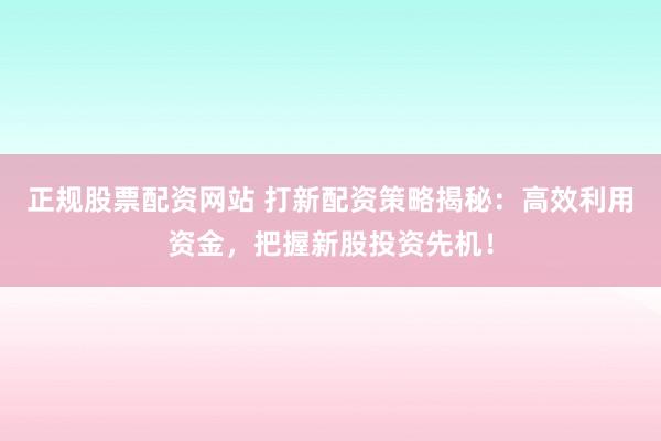 正规股票配资网站 打新配资策略揭秘:高效利用资金,把握新股投资先机!